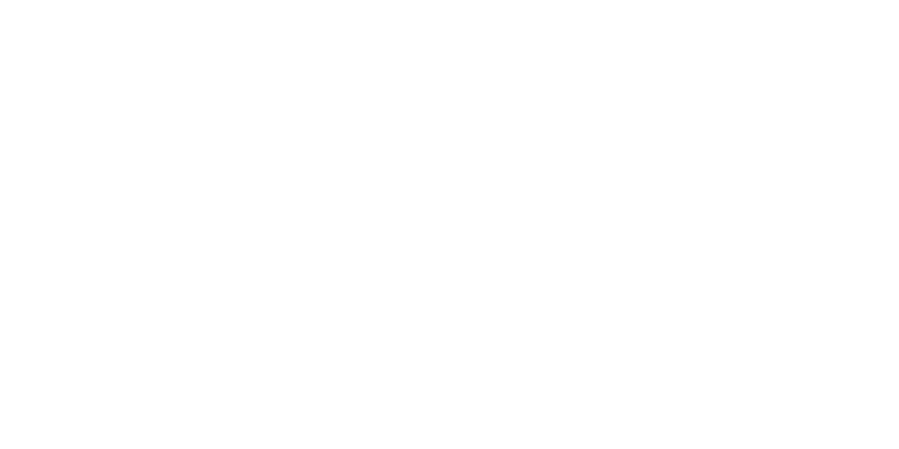 STAKE Logo